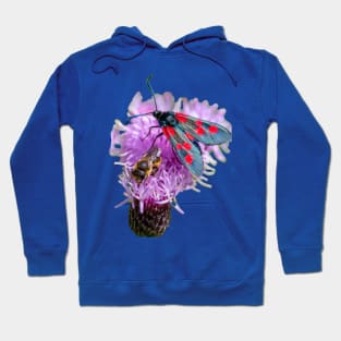 Burnet Moth and Honey Bee Hoodie